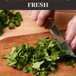 How To Keep Cilantro Fresh