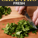 How To Keep Cilantro Fresh