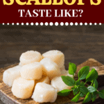 What Do Scallops Taste Like