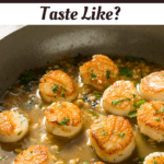 What Do Scallops Taste Like