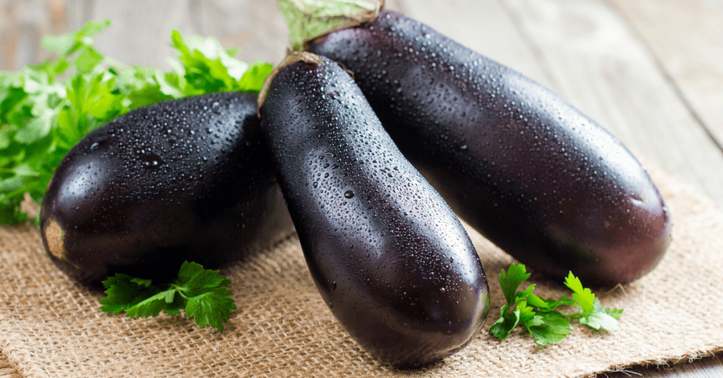 Eggplant