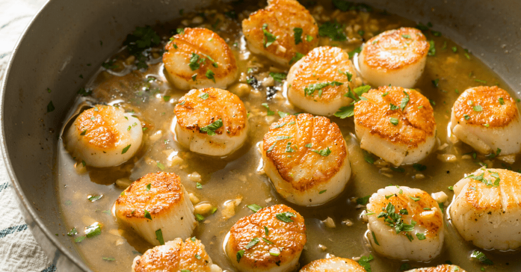 Scallops