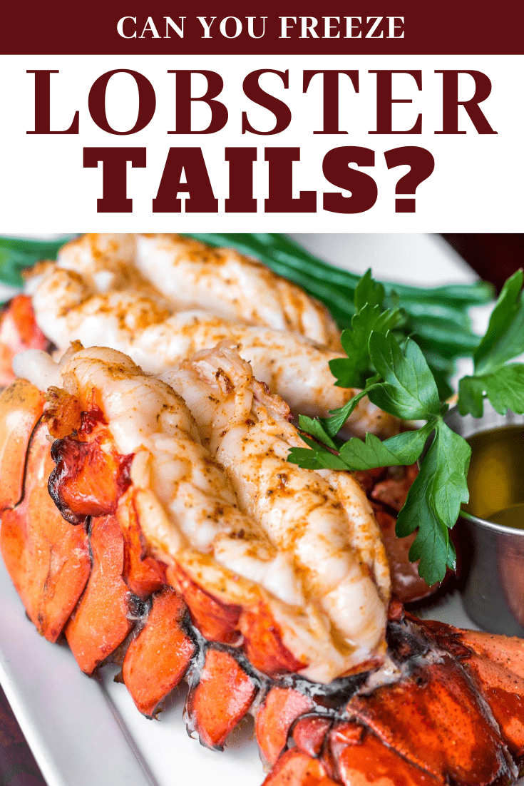 Can You Freeze Lobster Tails Insanely Good