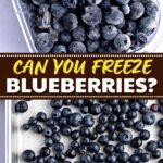 Can You Freeze Blueberries?