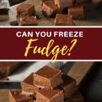 Can You Freeze Fudge?