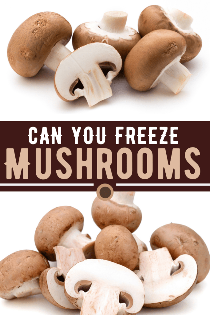 Can You Freeze Mushrooms?