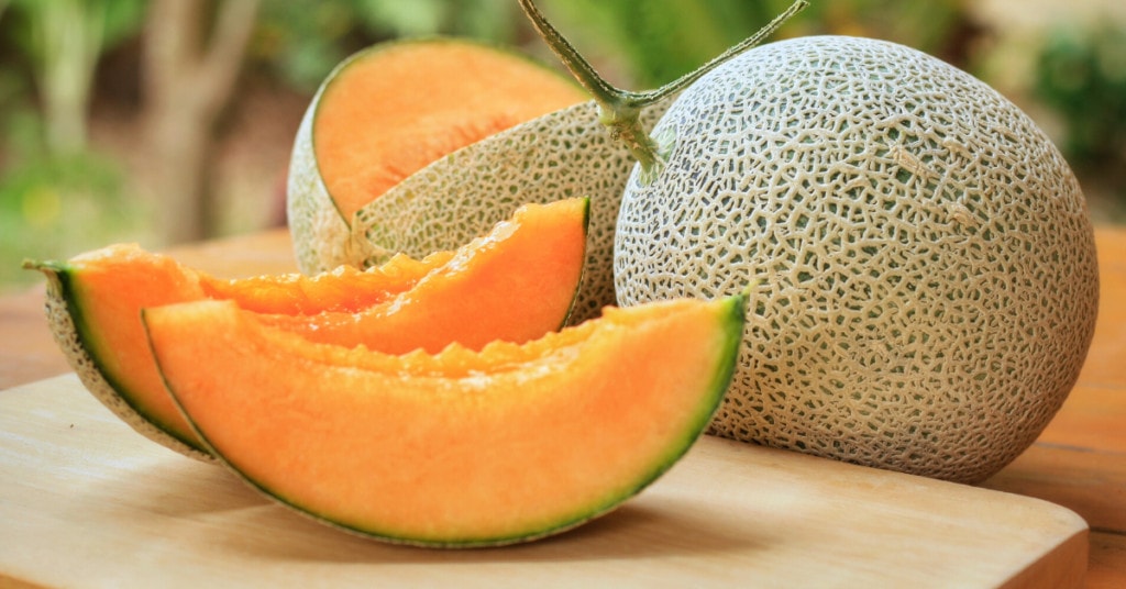 Fresh Cantaloupe