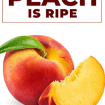 How To Tell If A Peach Is Ripe