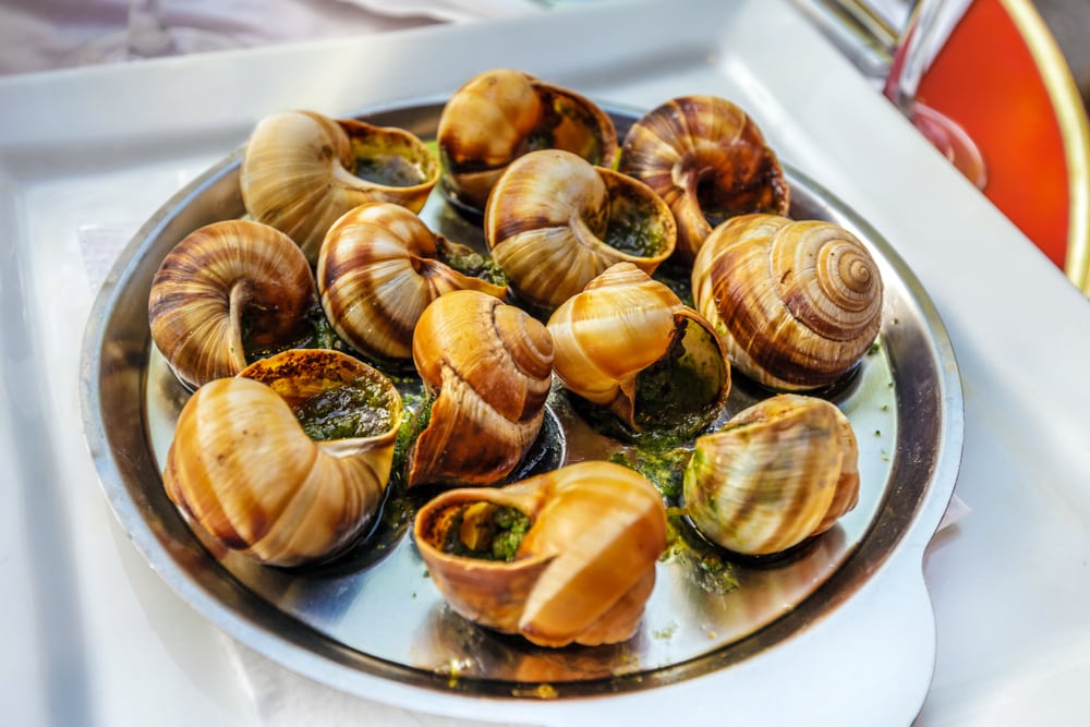 Cooked Land Snails or Escargot