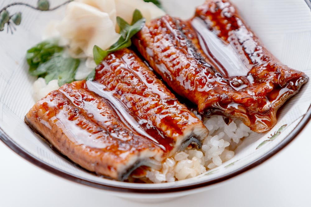 Grilled Eel Rice Bowl