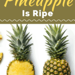 How To Tell If A Pineapple Is Ripe
