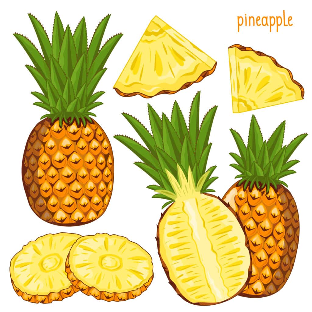 Pineapple Illustration