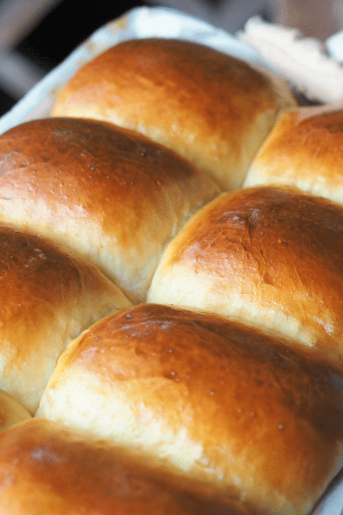 Homemade Dinner Rolls