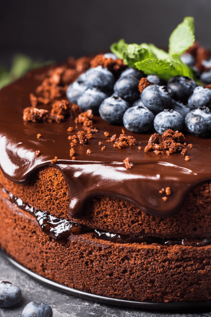 Homemade Chocolate Cake with Blueberry Toppings