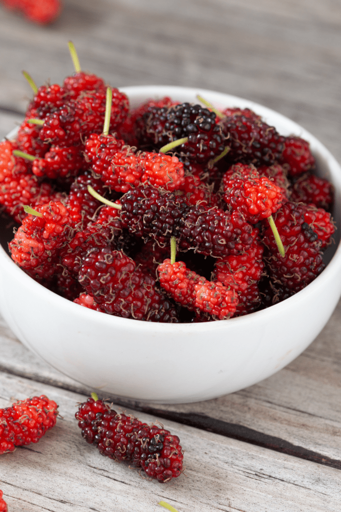 Mulberries in a Bowl