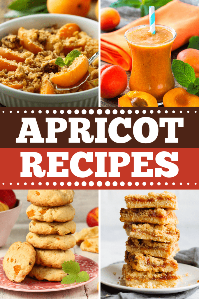 Apricot Recipes