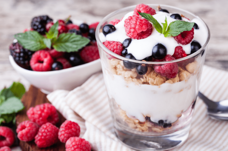 24 Yogurt Dessert Collection