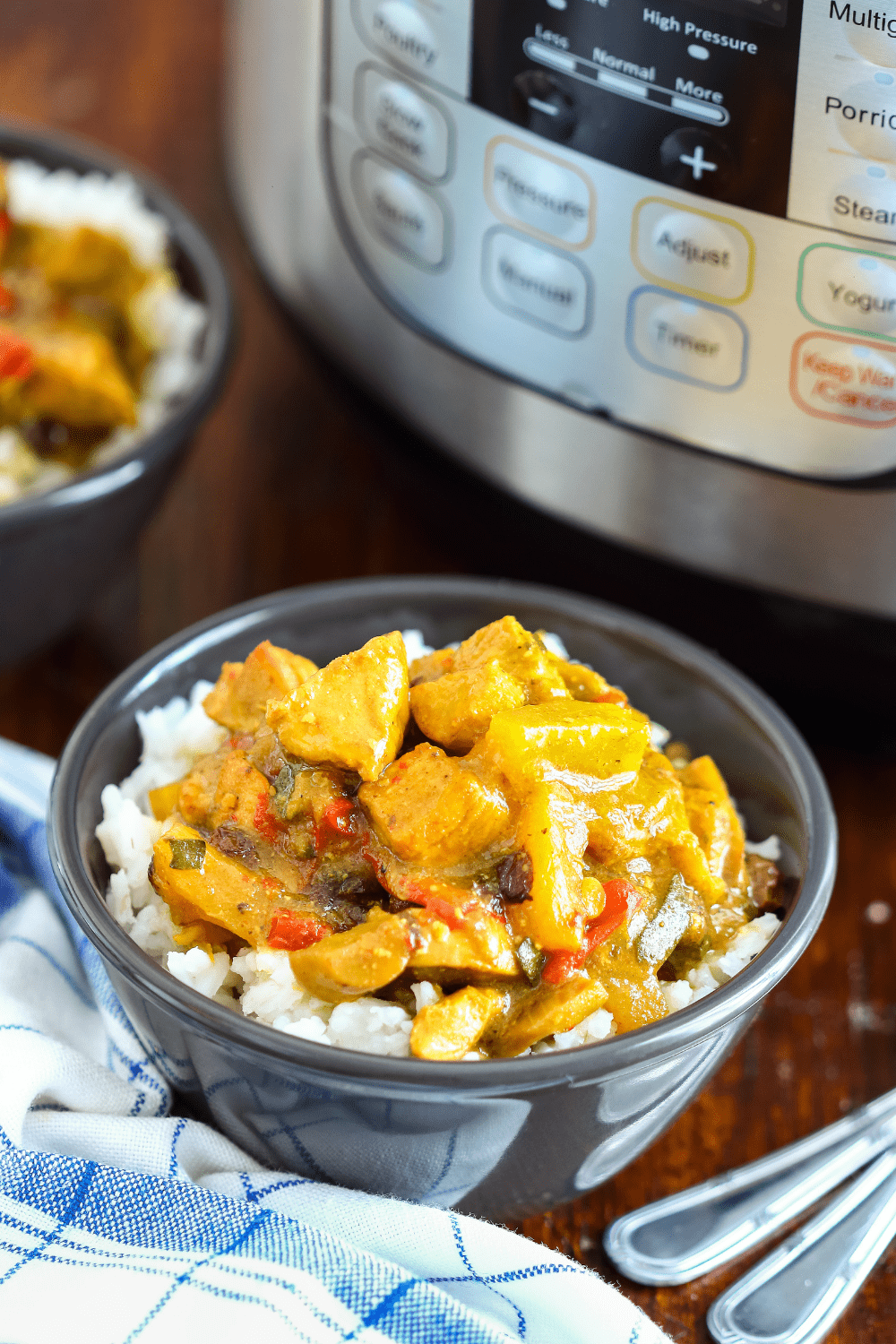 Instant Pot Chicken Curry with Rice