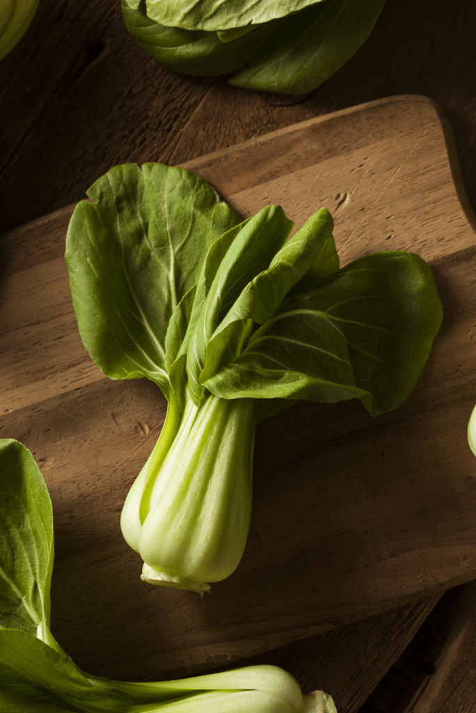 Chinese Cabbage Bok Choy