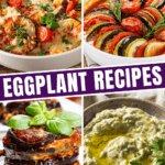 Eggplant Recipes