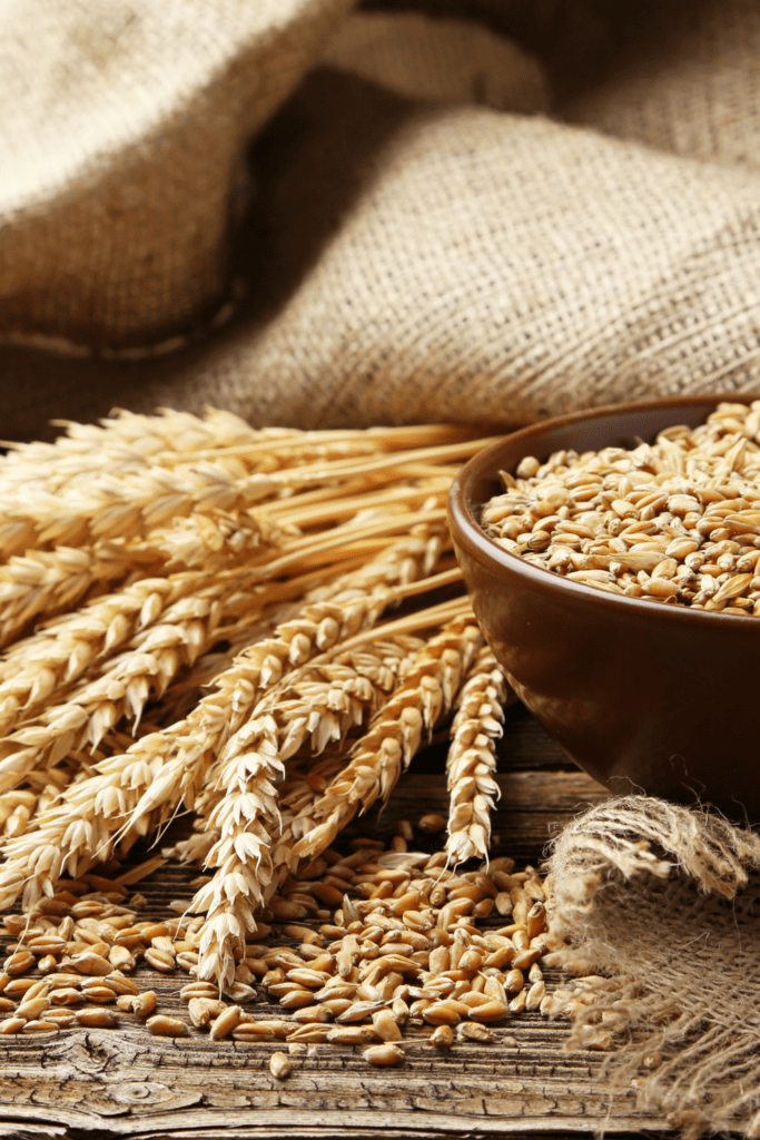 Wheat with Whole Grains of Wheat