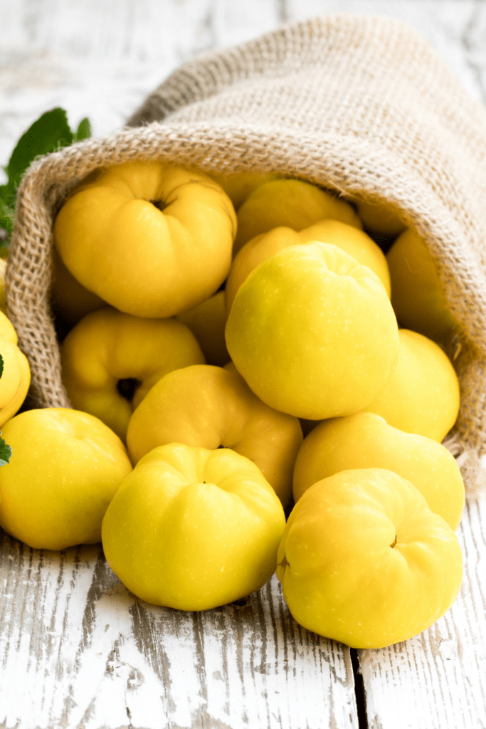 Yellow Quince Fruits