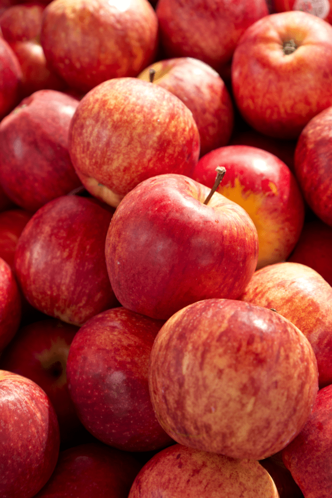 Gala Apples