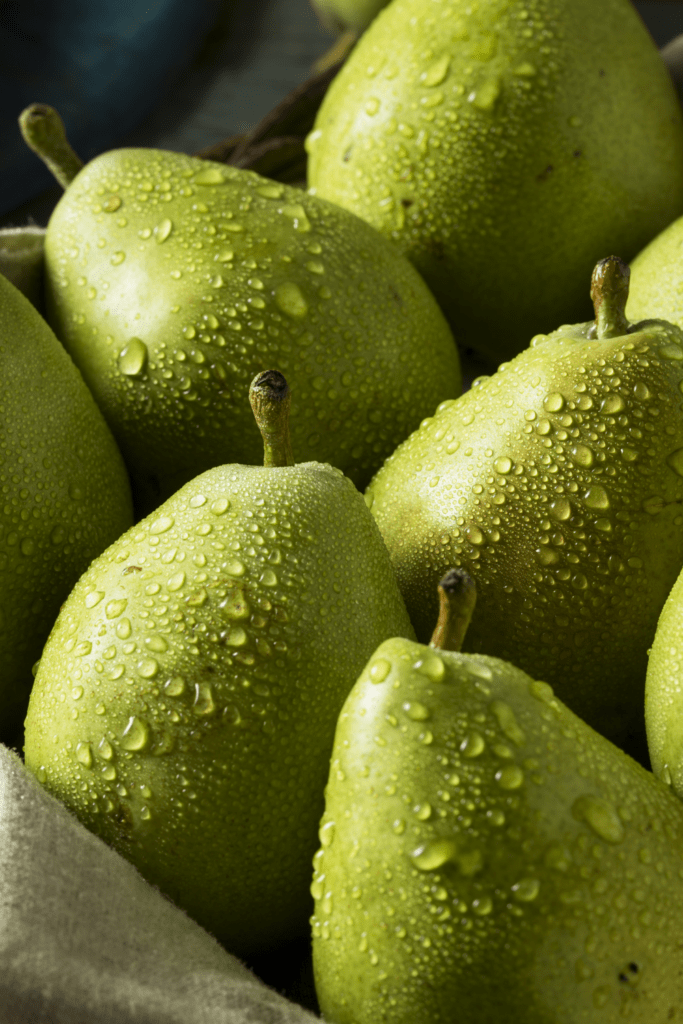 Fresh Green Anjou Pears