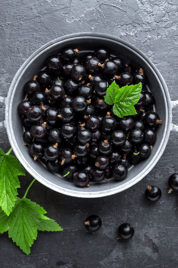 Grosella Negra or Black Currant