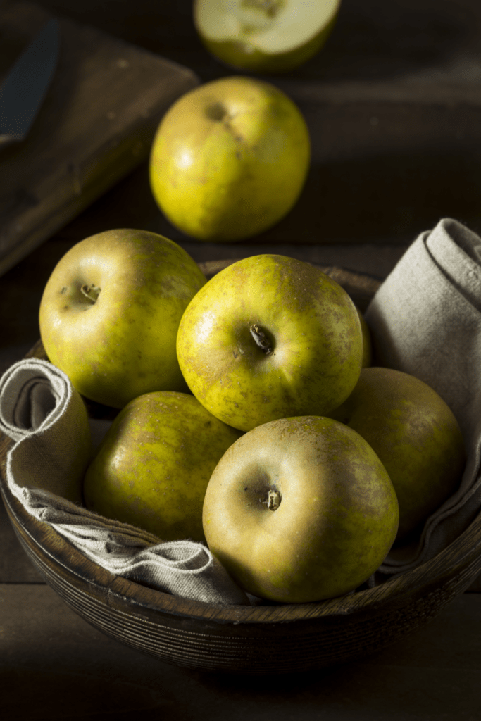 Knobby Russet Apples