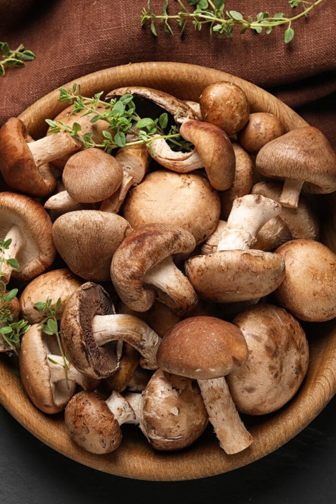 Bowl of Mushrooms