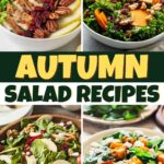 Autumn Salad Recipes