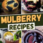 Mulberry Recipes