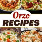 Orzo Recipes