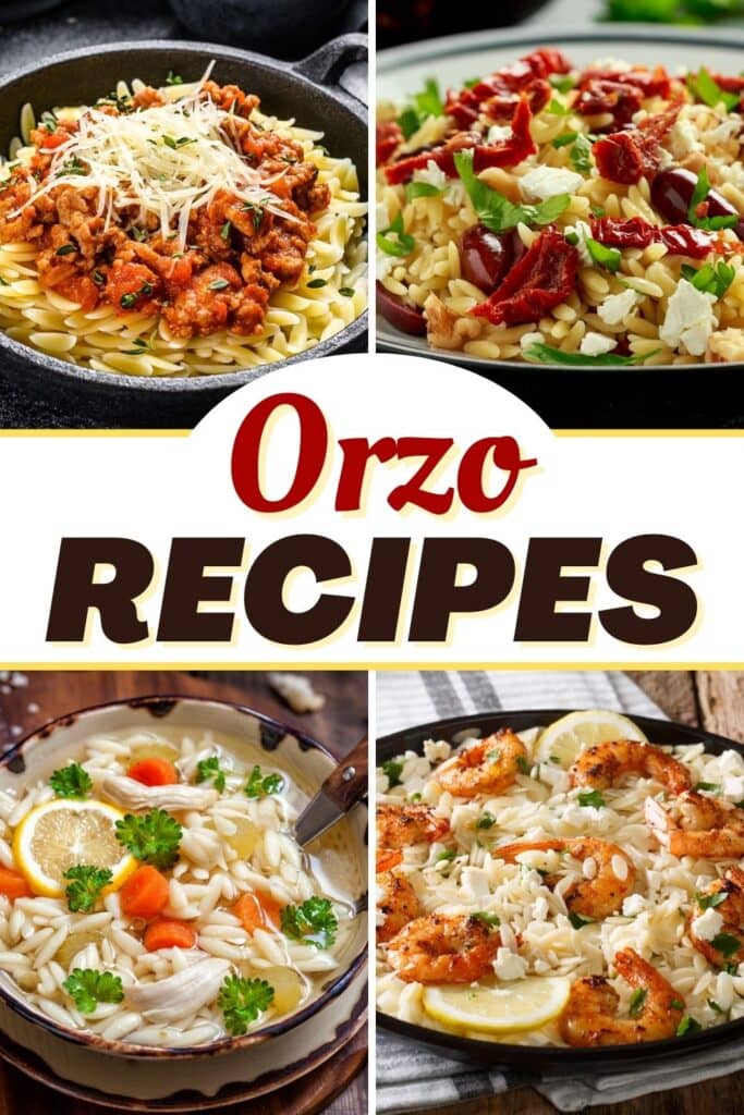 Orzo Recipes