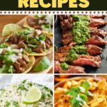 Cilantro Recipes