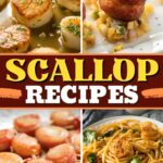 Scallop Recipes