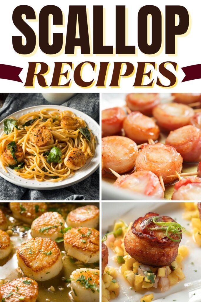 Scallop Recipes