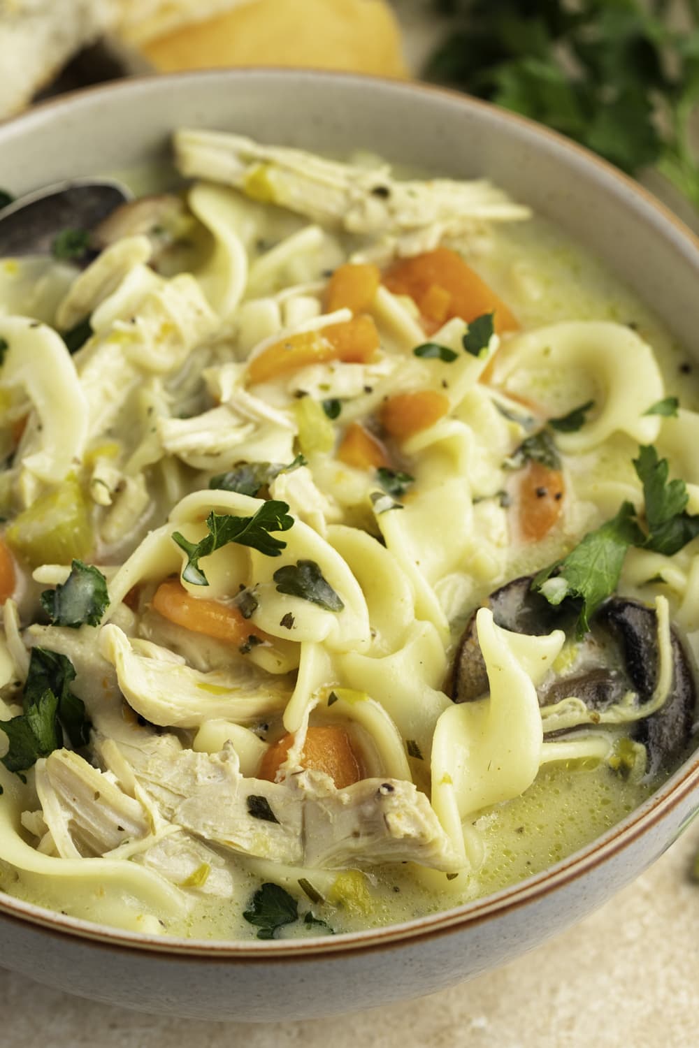 Paula Deen Chicken Noodle Soup