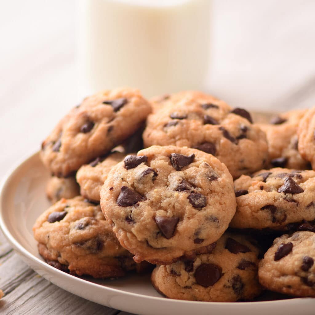 Neiman Marcus Cookies With Chocolate Chips Served on a White Plate