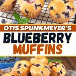 Otis Spunkmeyer’s Blueberry Muffins