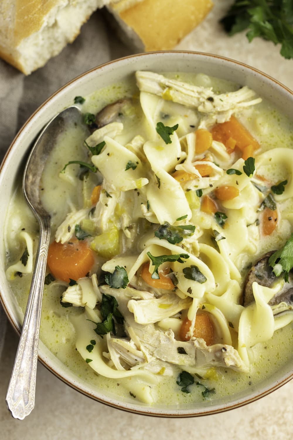 Paula Deen Chicken Noodle Soup Served in a Bowl