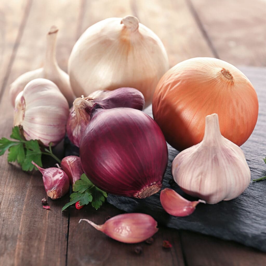 Fresh Onions and Garlic