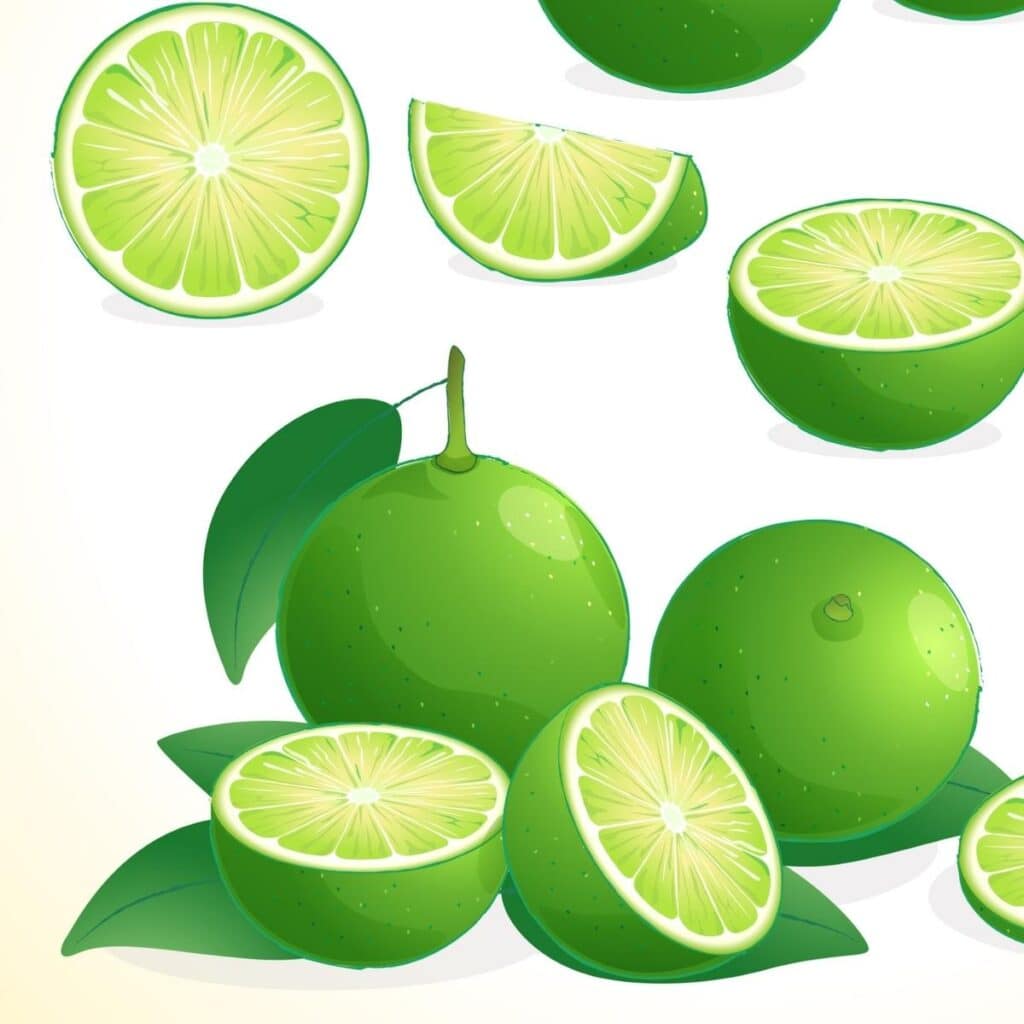 Sliced Lemon Lime Image