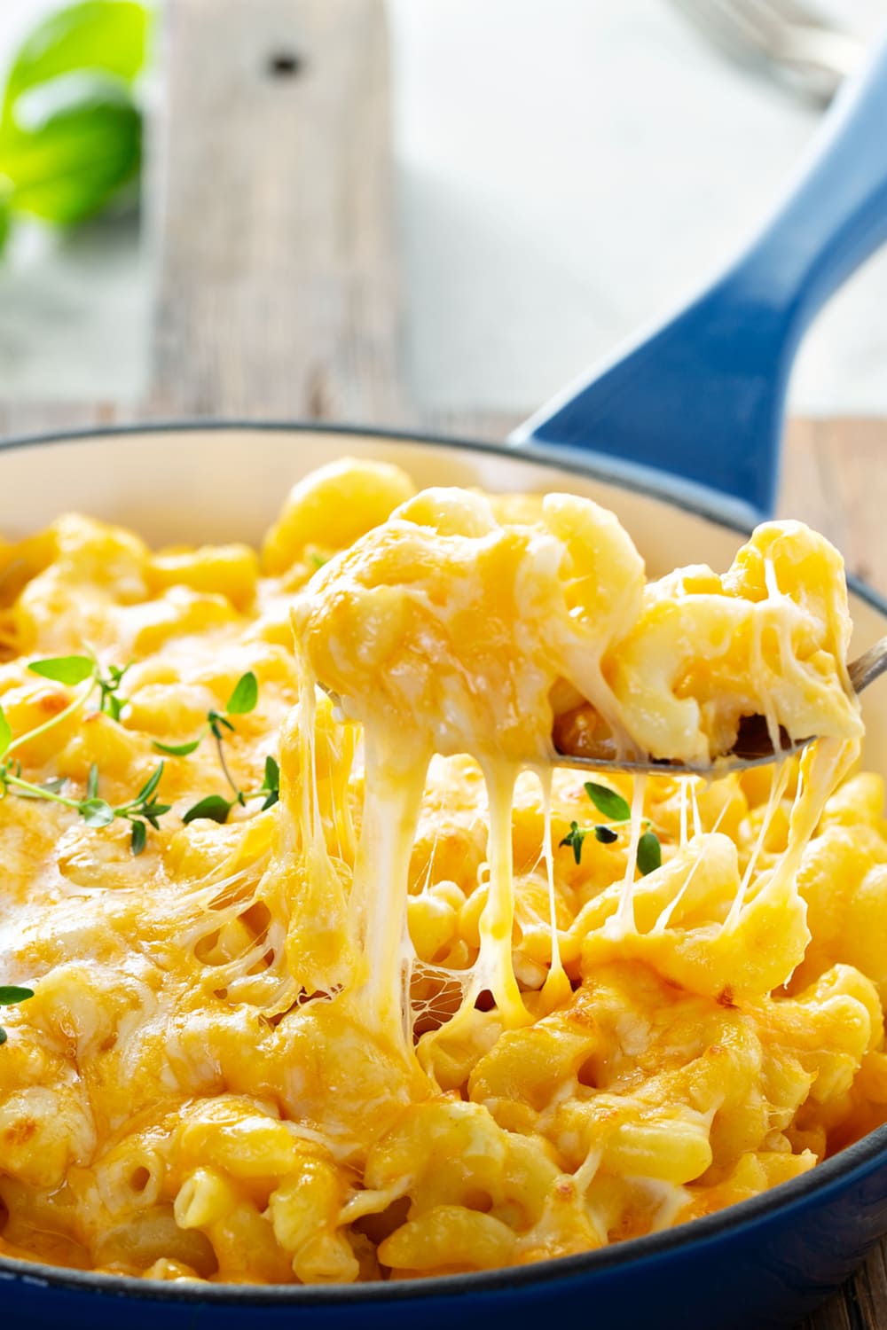 Old Fashioned Macaroni and Cheese