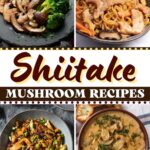 Shiitake Mushroom Recipes