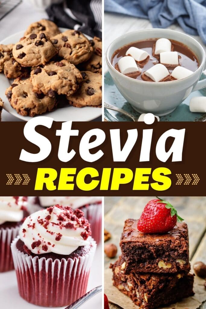 Stevia Recipes