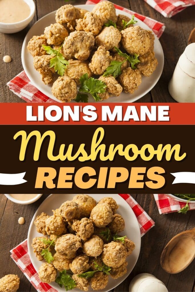 Lion’s Mane Mushroom Recipes