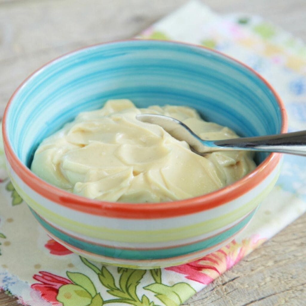 Tzatziki On A Colorful Bowl