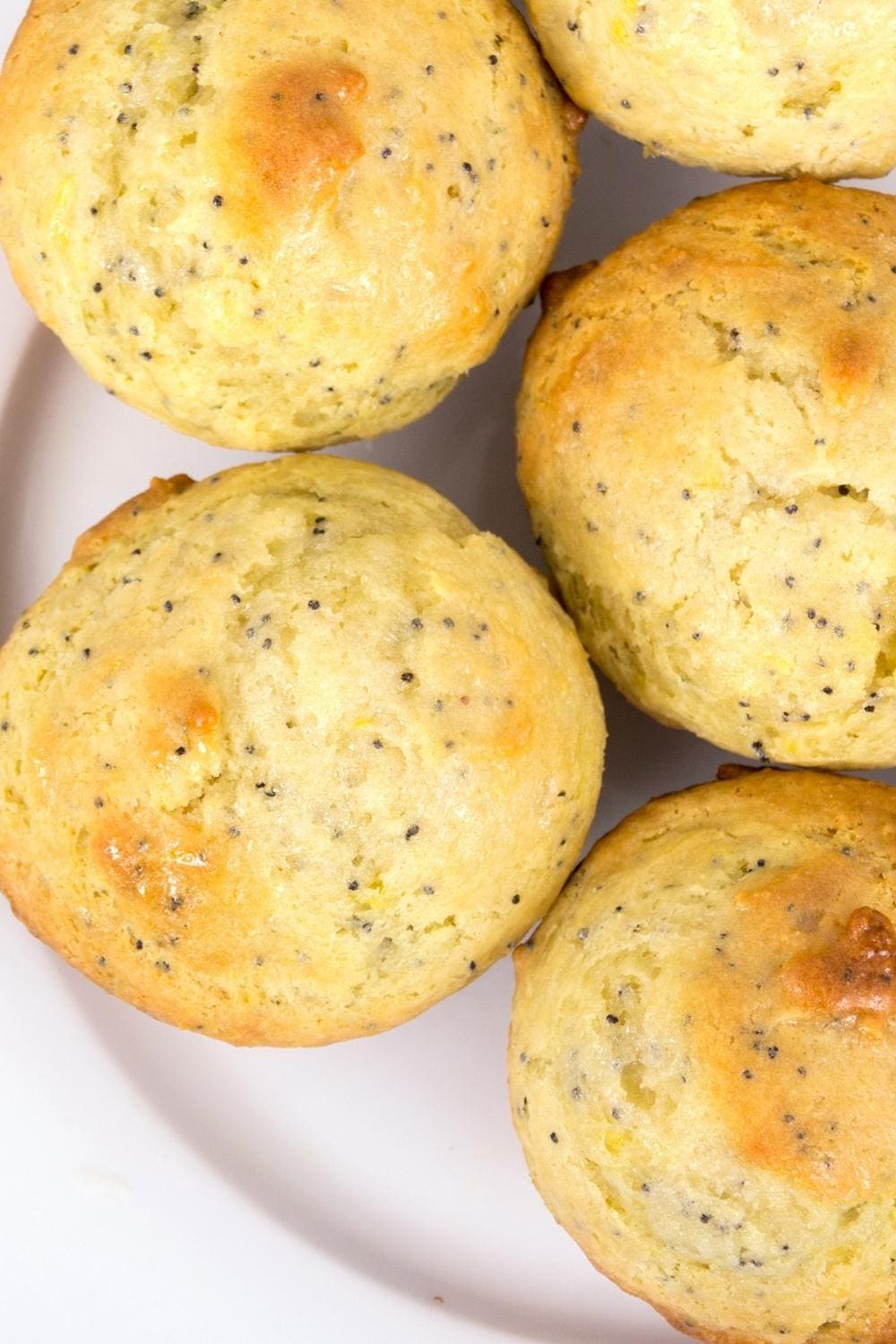 Lemon Poppy Seeds Muffins Top View